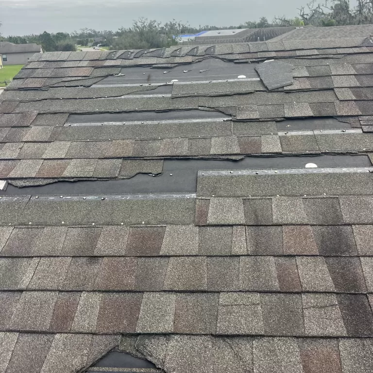 Wind Torn Old Shingles